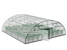 Теплица для бизнеса